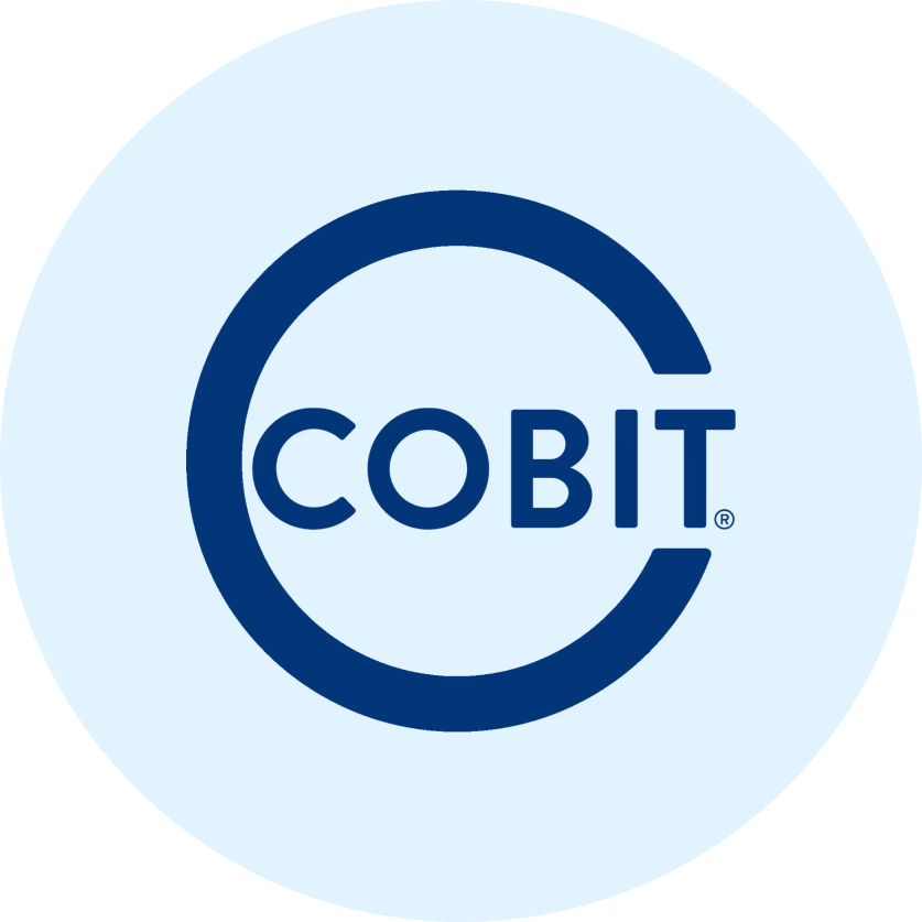 COBIT 2019 icon