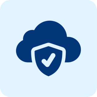 Vulnerability Assessments