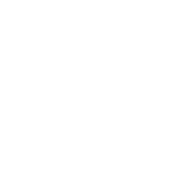 BFSI security
