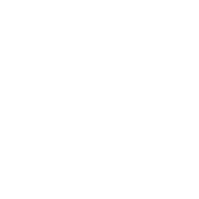 Telecom security