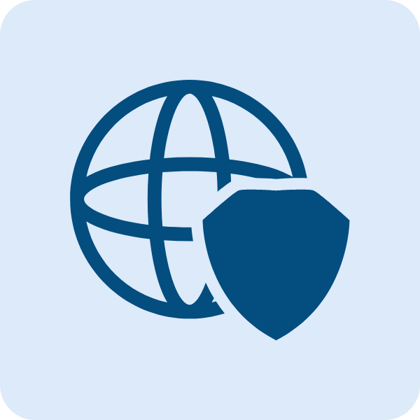 Vulnerability Analysis